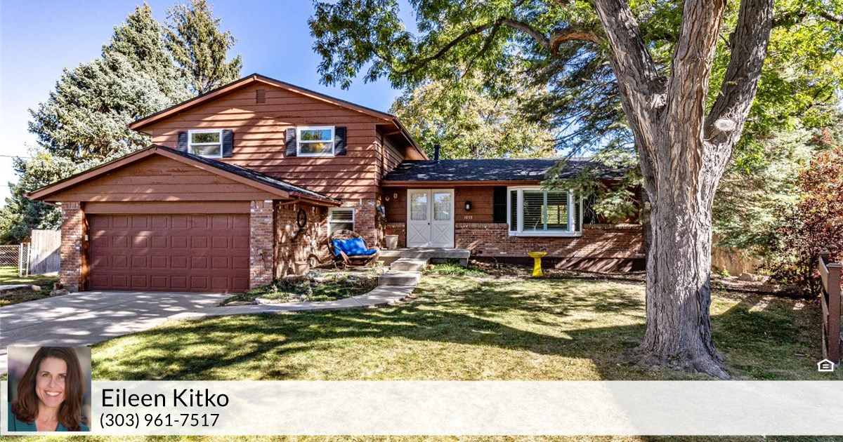 1105 W Hinsdale Ct, Littleton, CO 80120